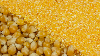 ¿Cuál es la diferencia entre una fábrica de rodillos vs. ¿Mill Mill?